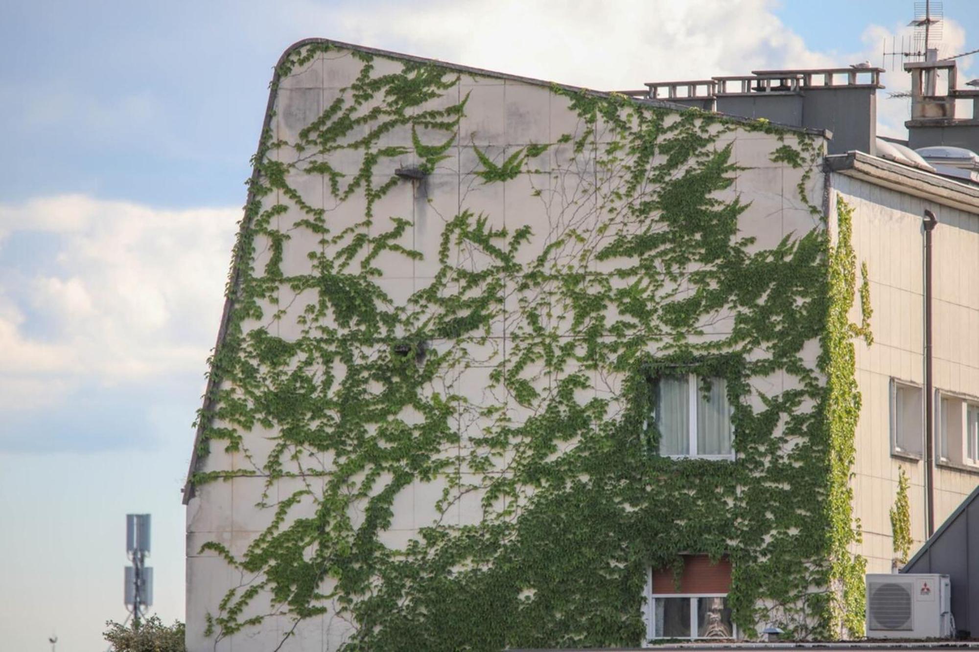 La Pause Annecienne Appartement Familial Annecy Kültér fotó